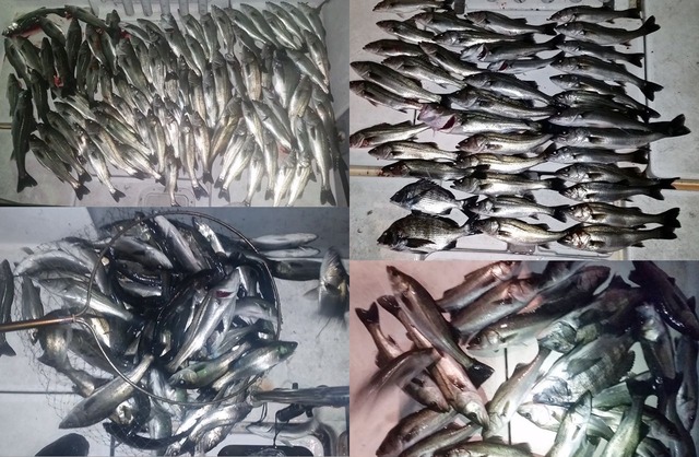 20160307_211343 - コピー