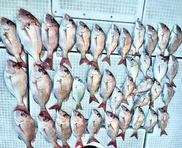 IMG_2042