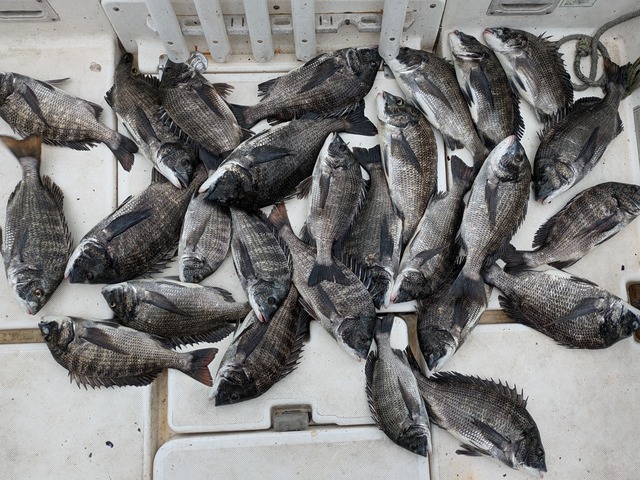 PXL_20240623_051102592_1