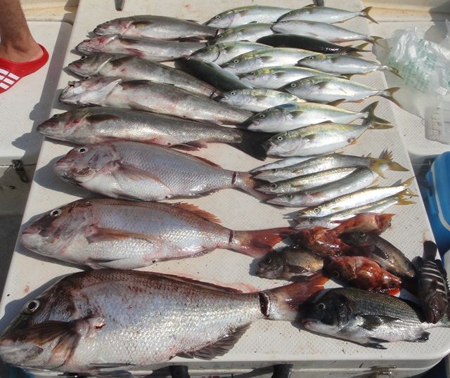 DSC06157 - コピー