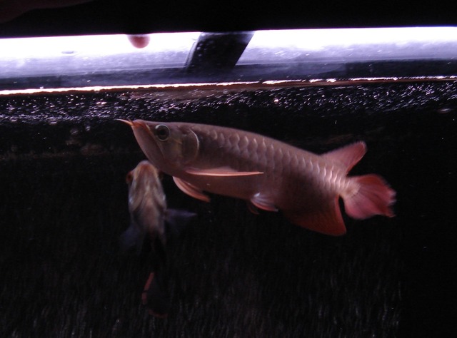 img_852776_23811139_0