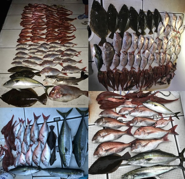 IMG_9516 - コピー-vert-horz