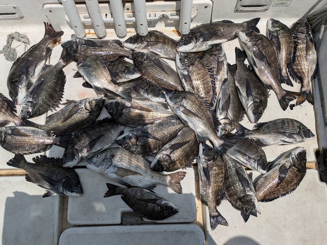 PXL_20240622_014507542.MP_1