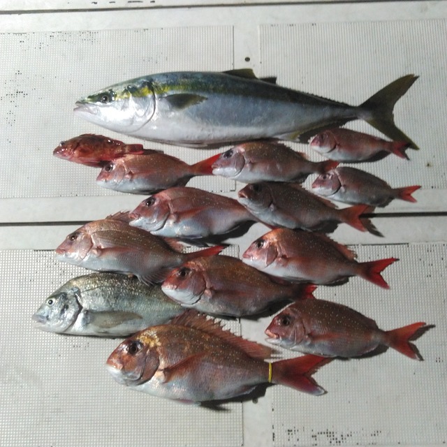 KIMG1689_04_BURST1001689