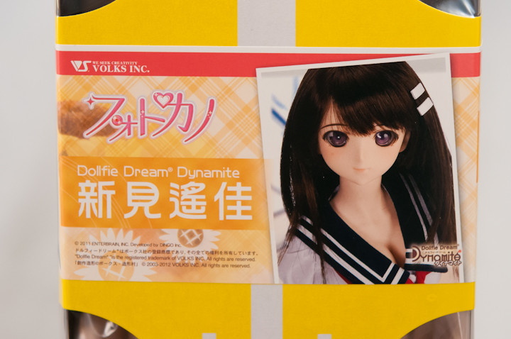 DDdy新見遥佳 : 自由な色で広げたい