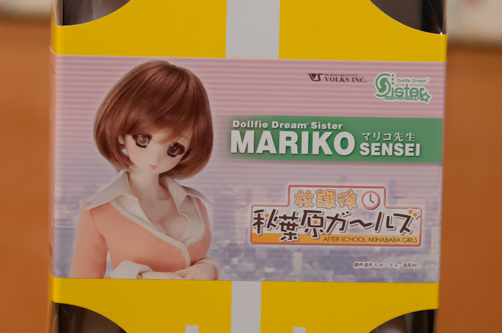 DDS マリコ先生（秋葉ガールズ） : 自由な色で広げたい