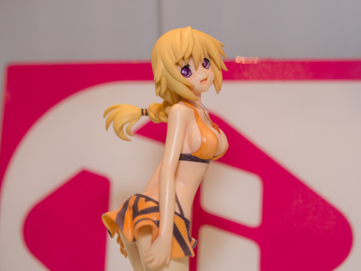 ワンダーフェスティバル2014冬に行ってきた（T`s system） : 自由な色