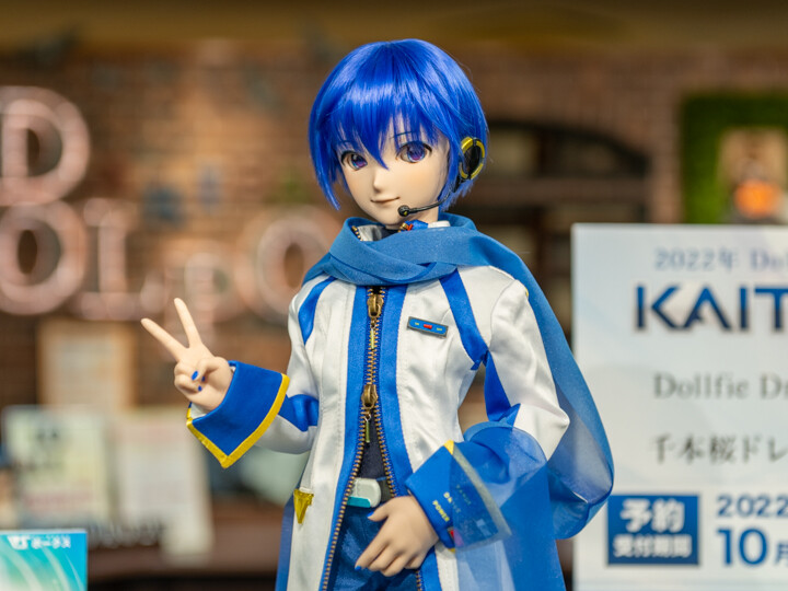 DD KAITO ウィッグ＋デフォルト衣装