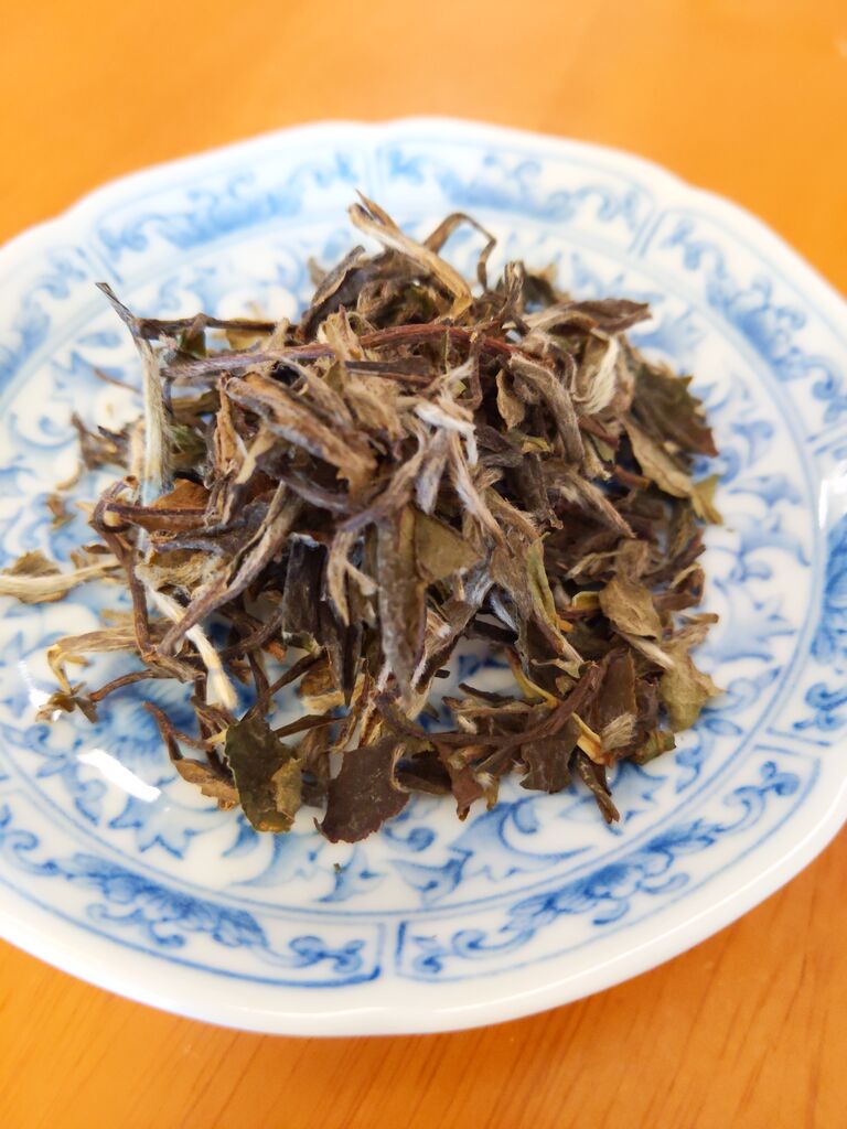 遊茶 特級白牡丹 とっきゅうはくぼたん 白茶是 1年茶 3年薬 7年宝 茶を読むとツイてくる 星仲茶味 ほしなかちゃみ 遊茶 特級白牡丹 とっきゅうはくぼたん 白茶是 1年茶 3年薬 7年宝 茶を読むとツイてくる 星仲茶味 ほしなかちゃみ