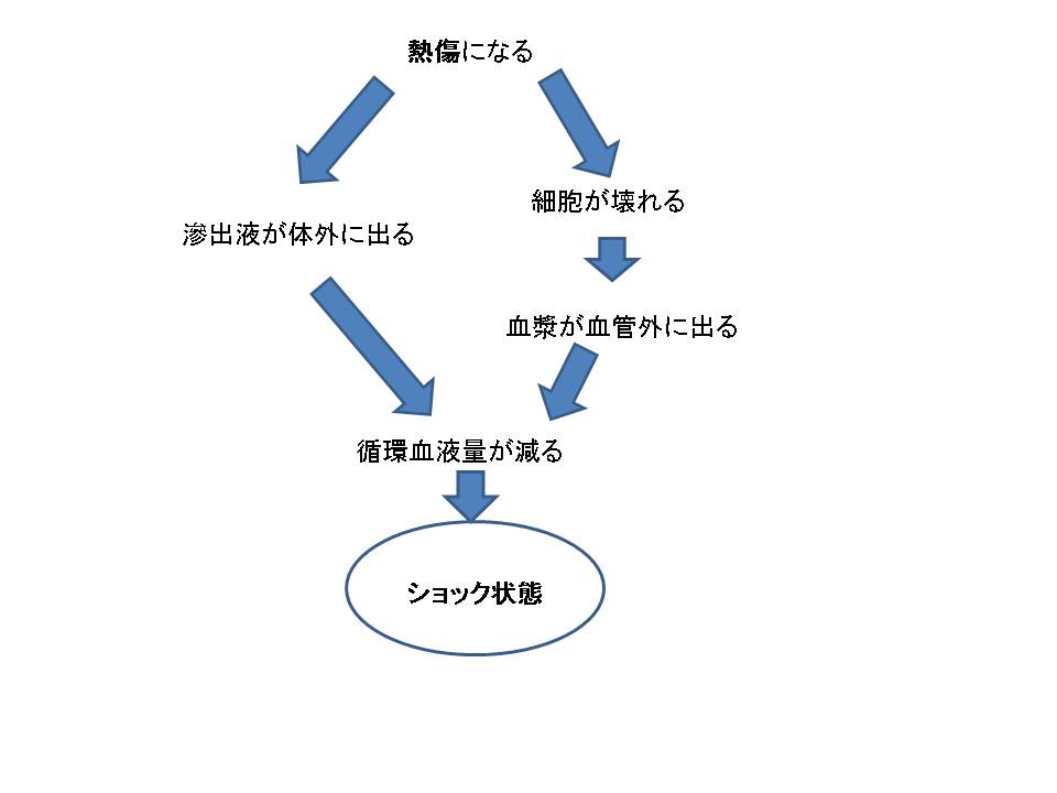 成人まとめ いつか見返すその時のために