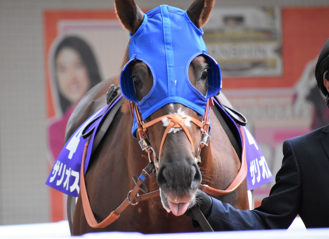 星ビル　☆インテリア&乗って可愛いお馬さん☆ 星ビル☆インテリア&乗って可愛いお馬さん☆