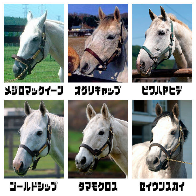 ビワハヤヒデ 三冠馬の兄です 芦毛です バナナ好きです こいつがブサイク扱いされる理由 サンデー速報 なんj競馬部