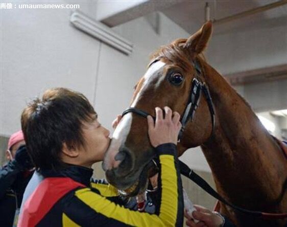 池添四天王 オルフェーヴル ドリームジャーニー スイープトウショウ メイケイエール サンデー速報 なんj競馬部