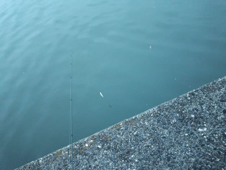 donkey_angler_05_063