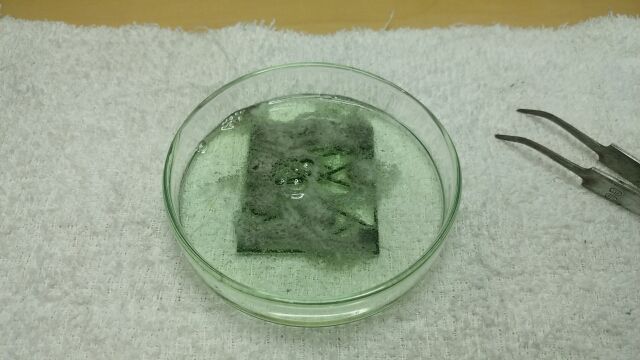 タメオ フェラーリ642 製作 No 2 エッチングパーツ切り離し てっちゃんわんわん