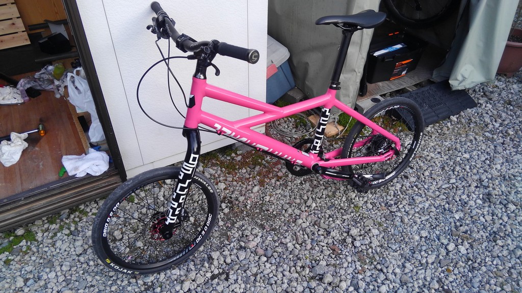 フーリガンもカスタム化 : てつのなんとなくMTB フーリガンもカスタム化 : てつのなんとなくMTB