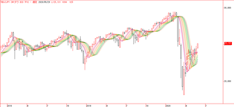 NY���� BID TFX