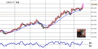 ���̥ӥǥ���