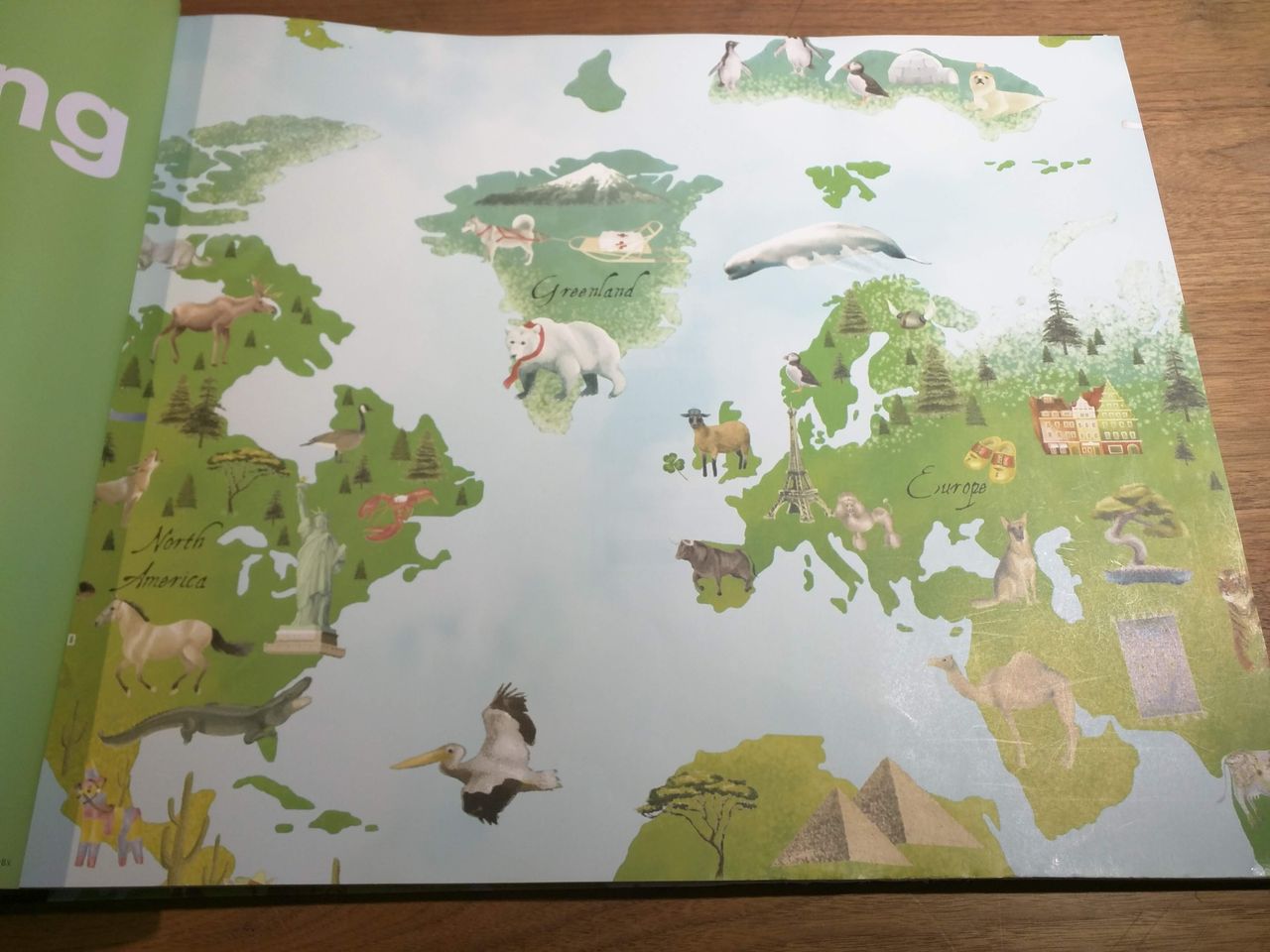 世界地図の壁紙 Tecido 株式会社テシード