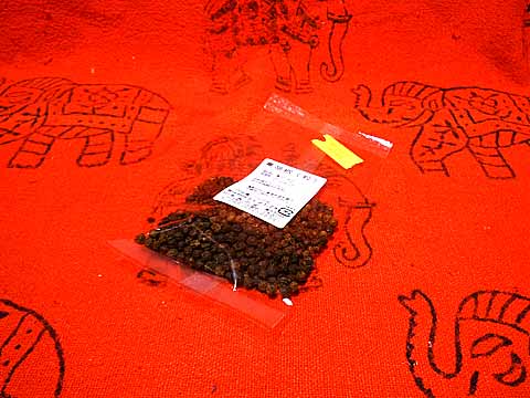 2020_03_19_07a