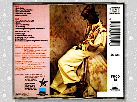 Buju Banton 「Mr. Mention」 : つれづれげえ日記