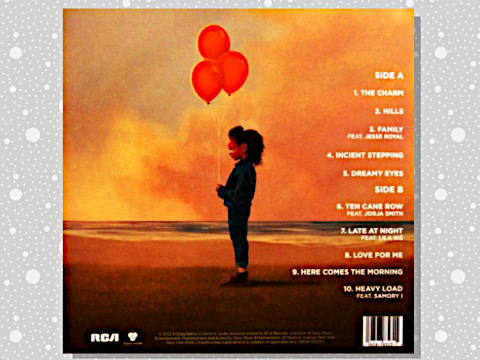 【廃盤】Protoje - J.A. 897329-5680-897209-1152-