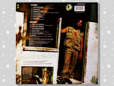 Bushman 「Higher Ground」 : つれづれげえ日記