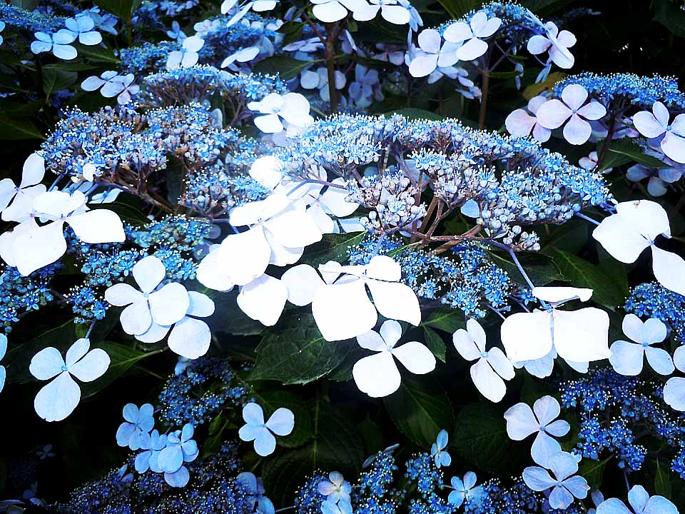 2019_06_13_05a