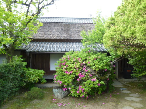 P1160014