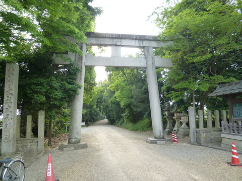 P1160006