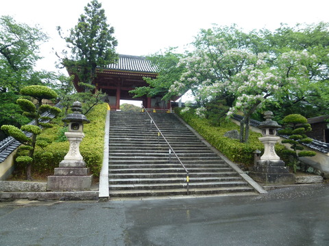 P1160022