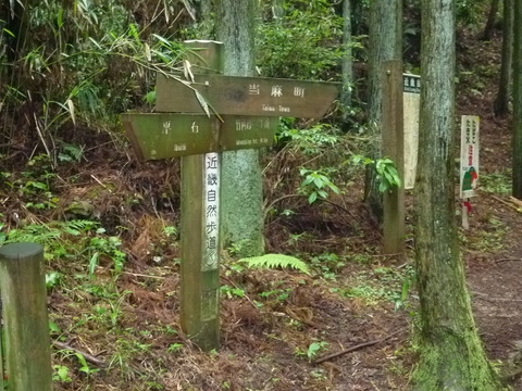P1160067