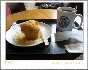 stb0531