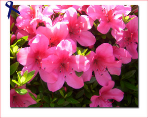 2010060201