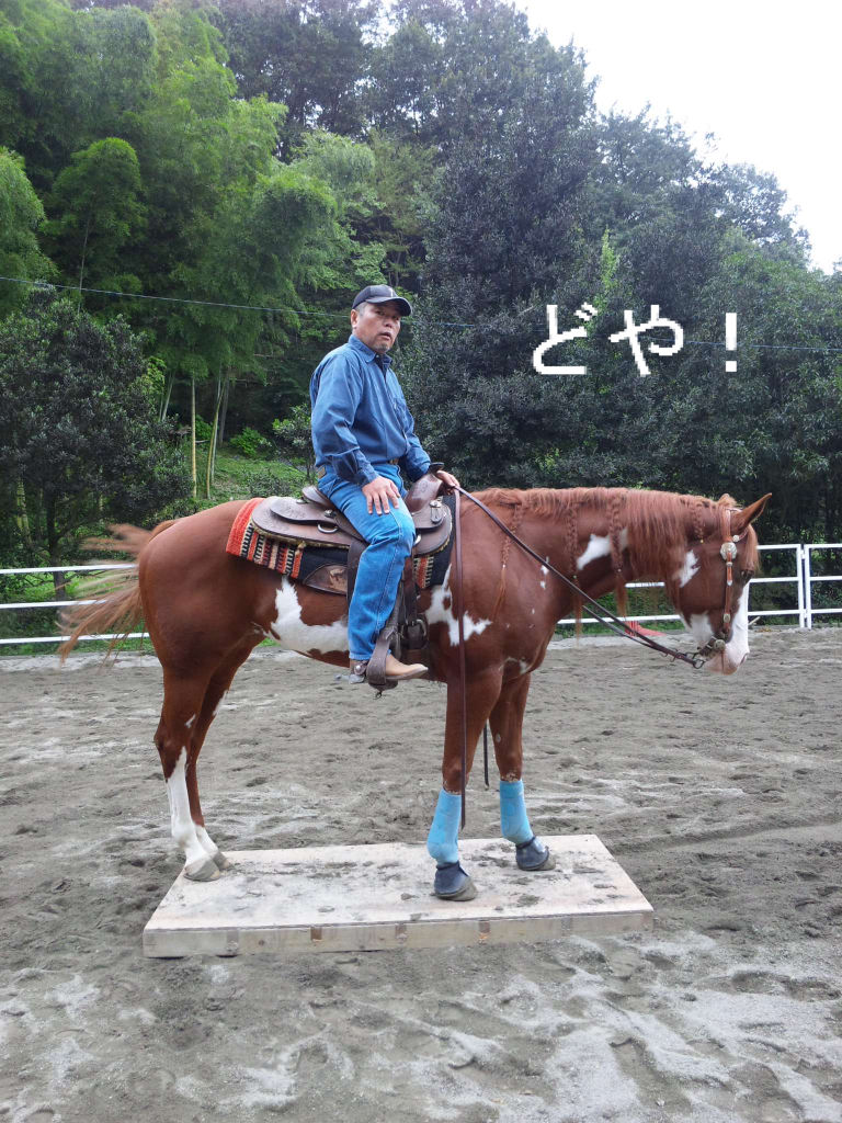 正規品 ウエスタンホースバック ライディング Edb5f809 株価上昇 Feb Ulb Ac Id