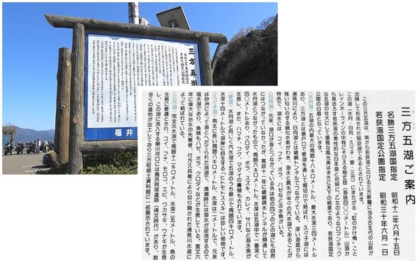 熟年夫婦三方五湖11