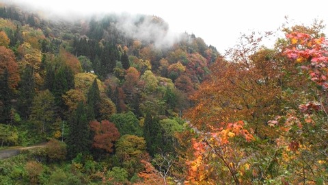 秋山郷1