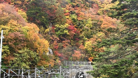 熟年夫婦面白高原駅8