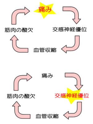 身体と心(意識)
