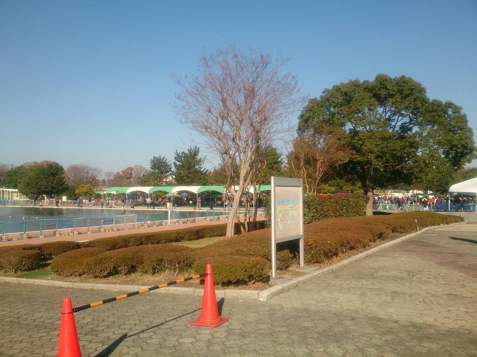 12 3 トラウトフェスタ 川越水上公園 Tee S Flyfishing 12 3 トラウトフェスタ 川越水上公園 Tee S Flyfishing