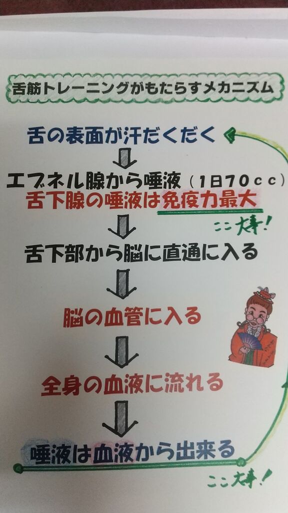 唾液の流れ図