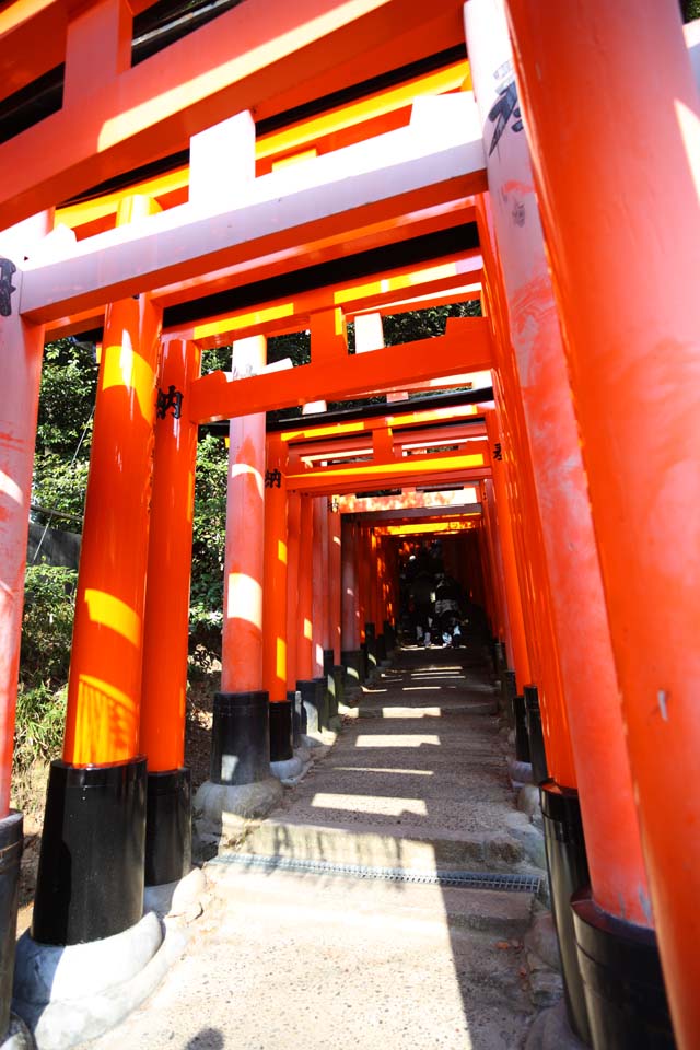 京都の初詣人気ナンバー1 伏見稲荷大社 旅行記ー写真と日記と計画とー 京都の初詣人気ナンバー1 伏見稲荷大社 旅行記ー写真と日記と計画とー