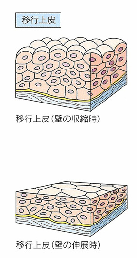 気ままにブログ                tehiro