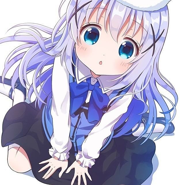 です うるさい チノ ね ちゃん