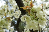 DSC02235