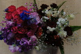 DSC00246