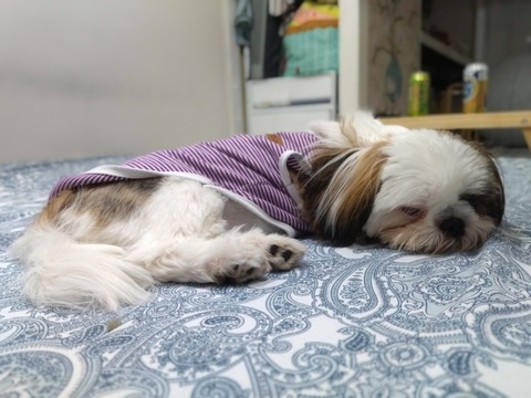 _XcdyBeNTN2Fu096jcl7sg