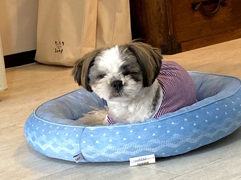 LQqFqtzvRzKZ1tlc5QEGZg