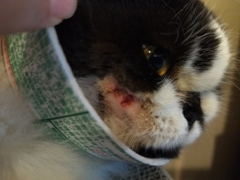 -MfNOkcJS22DYsuF7CsPxA