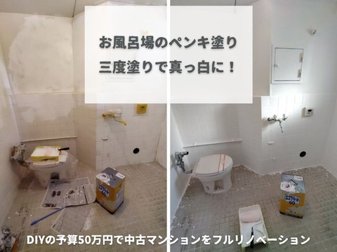 ミニマリノベひながた (20)